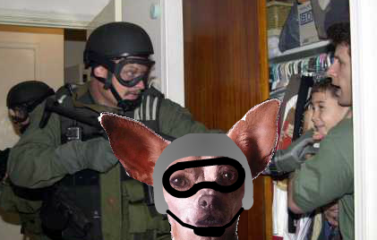 Elian Recovery Video