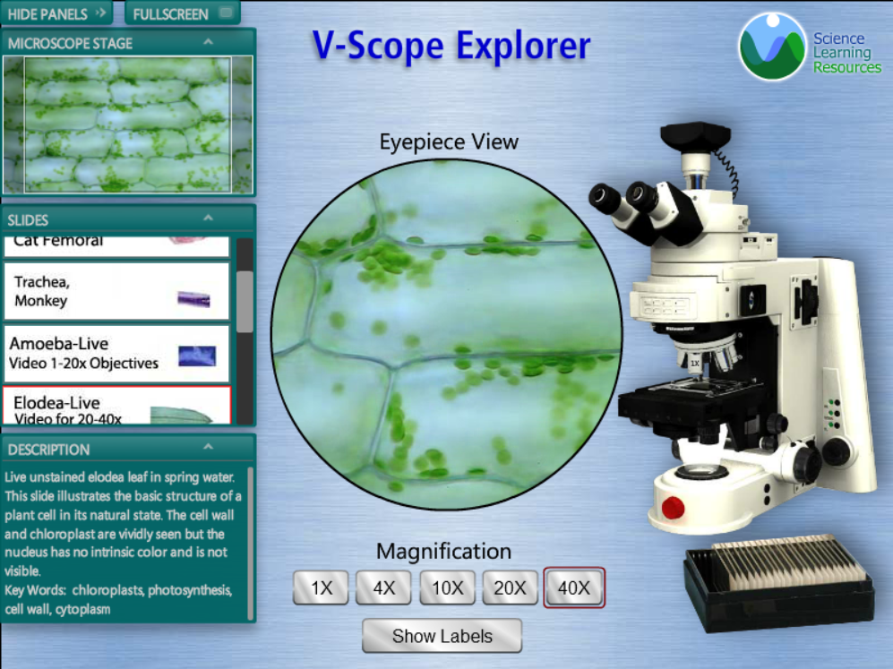 V-Scope Explorer