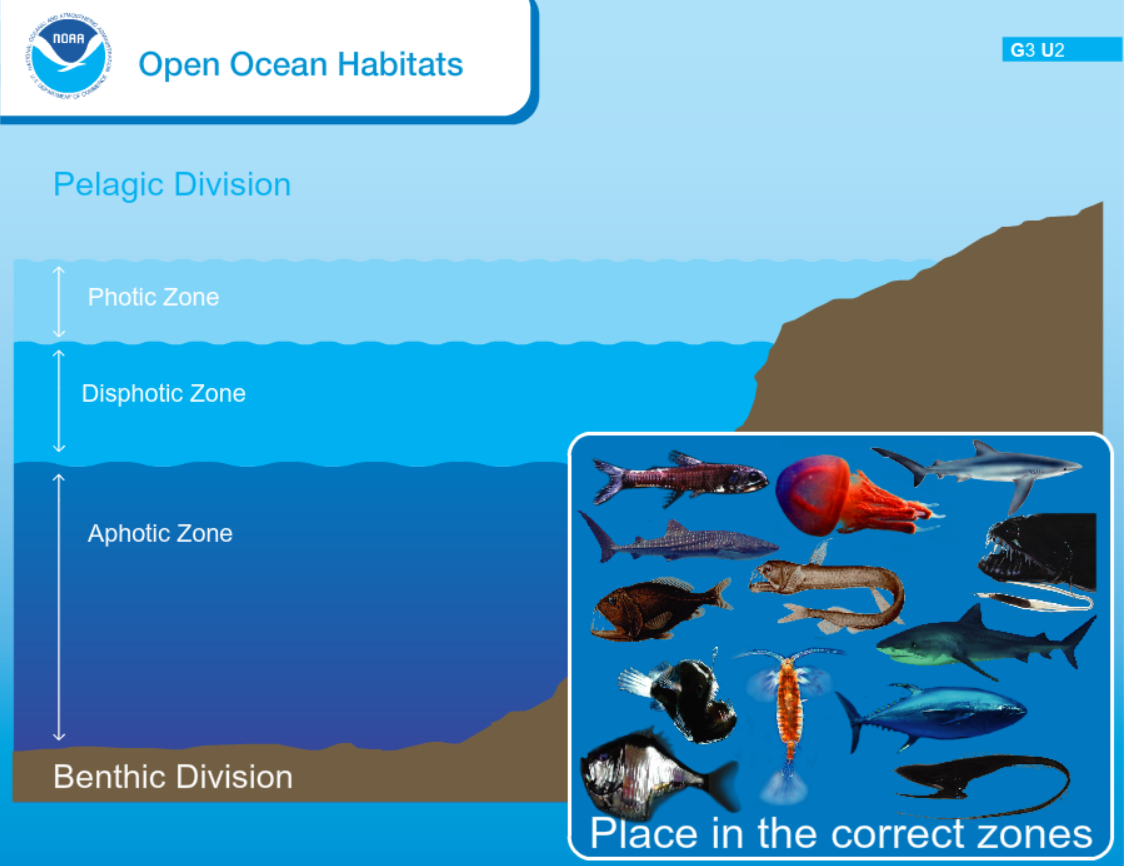 Open Ocean Habitats