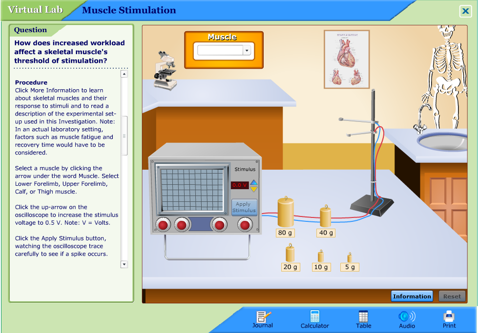 Muscle Stimulation