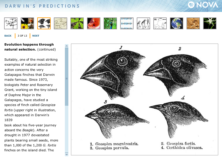 Darwin's Predictions