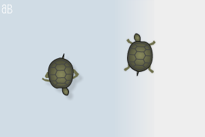 aBowman Turtle