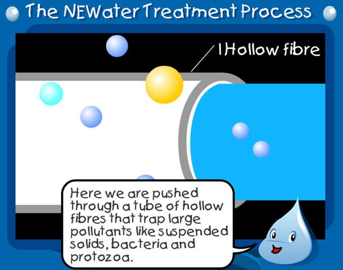 The NEWater Treatment Process