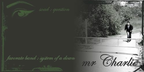 mr charlie's SheezyArt ID