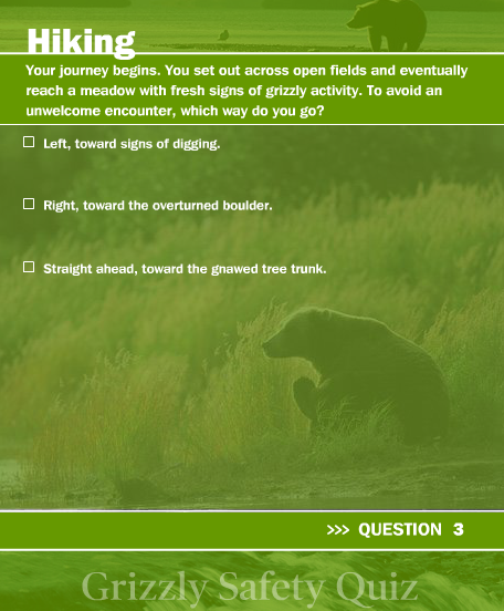 Grizzly Safety Quiz