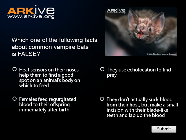 ARKive's Trick or Treat Quiz