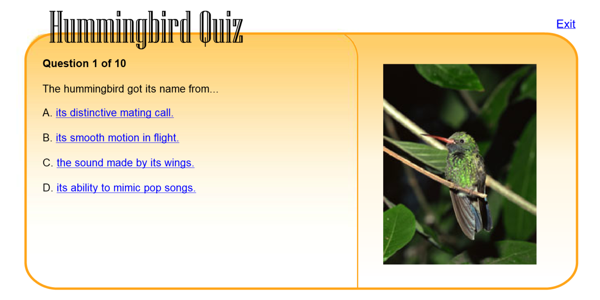 Hummingbird Quiz