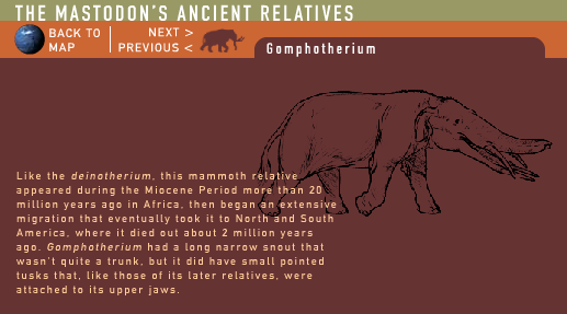 The Mastodon's Ancient Relatives