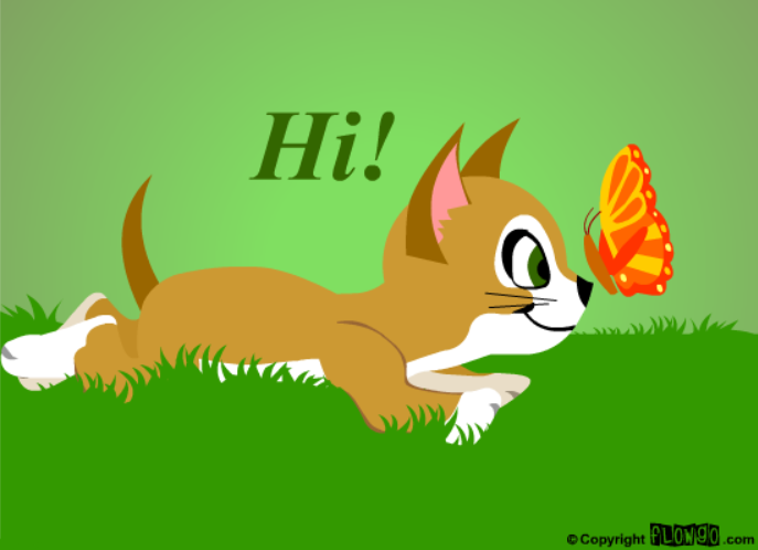 Let's Catch Up on Everything!