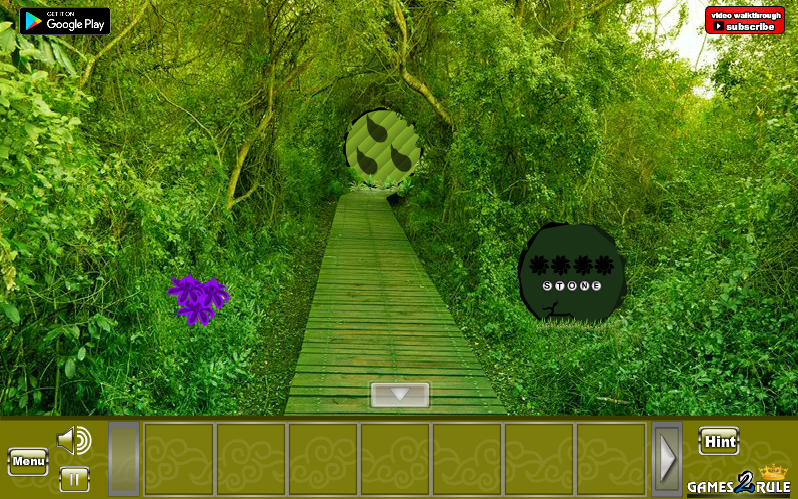 Green Forest Dove Escape