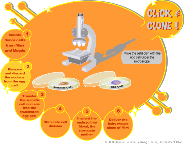 Click and Clone!