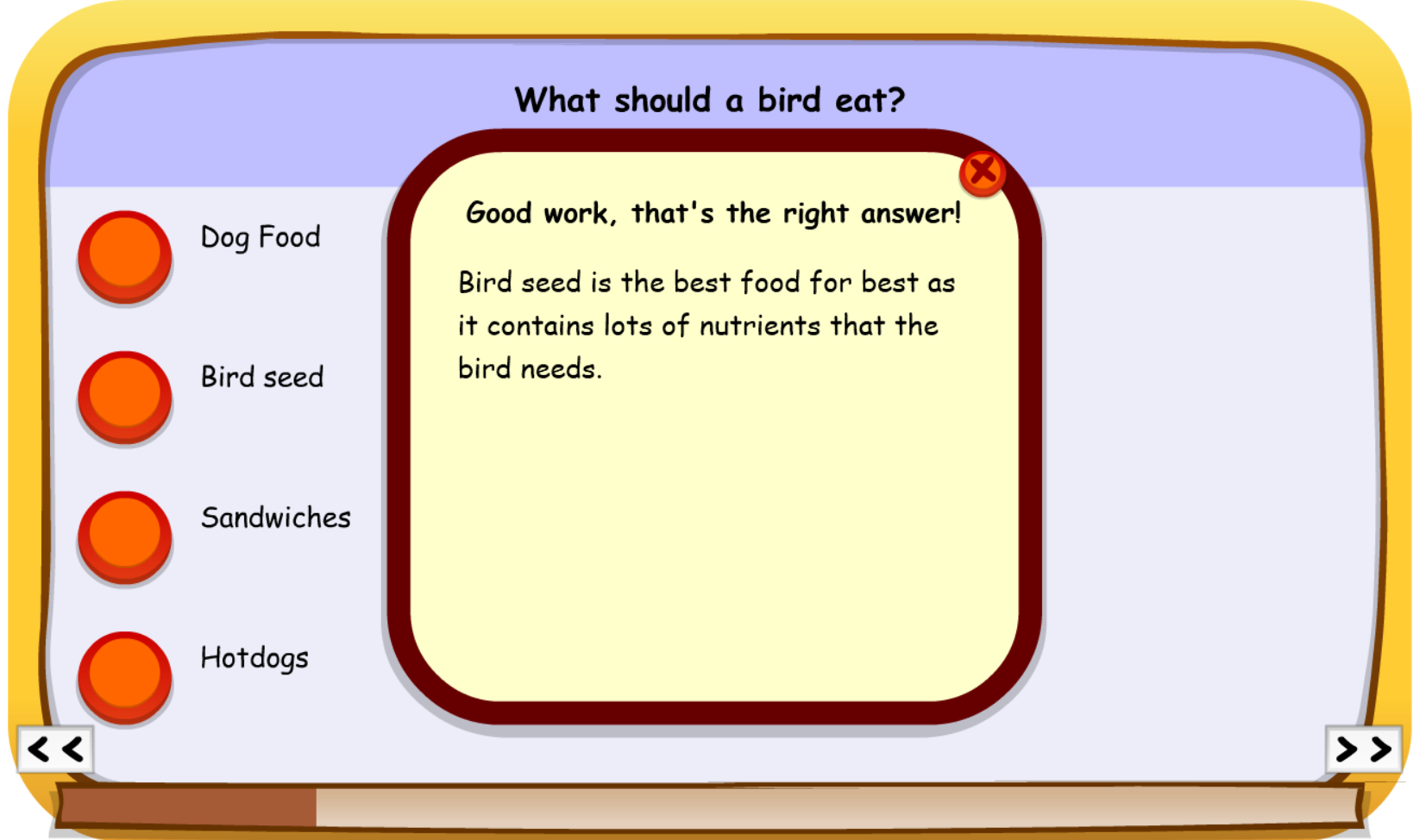 Bird Quiz