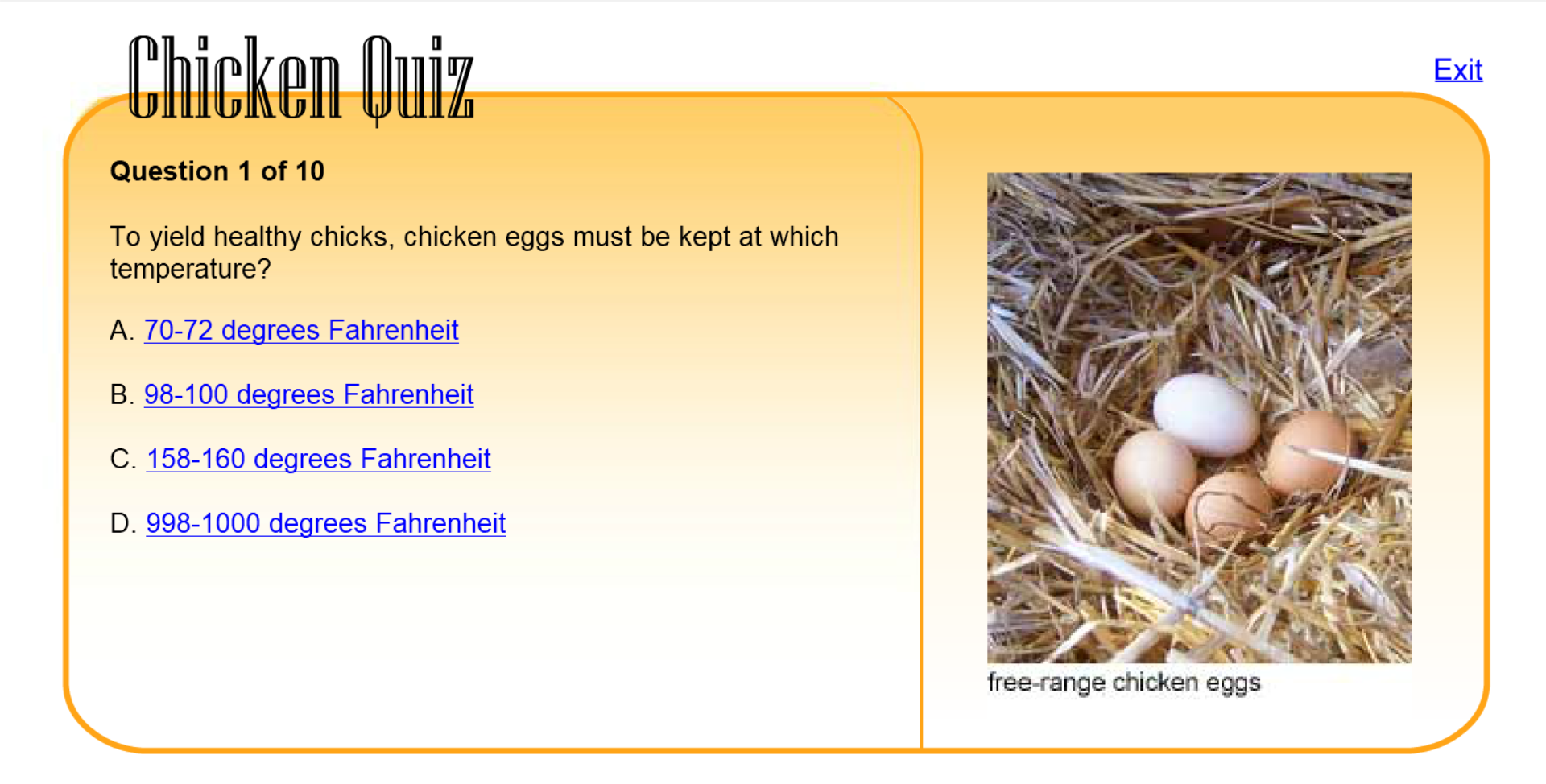 Chicken Quiz