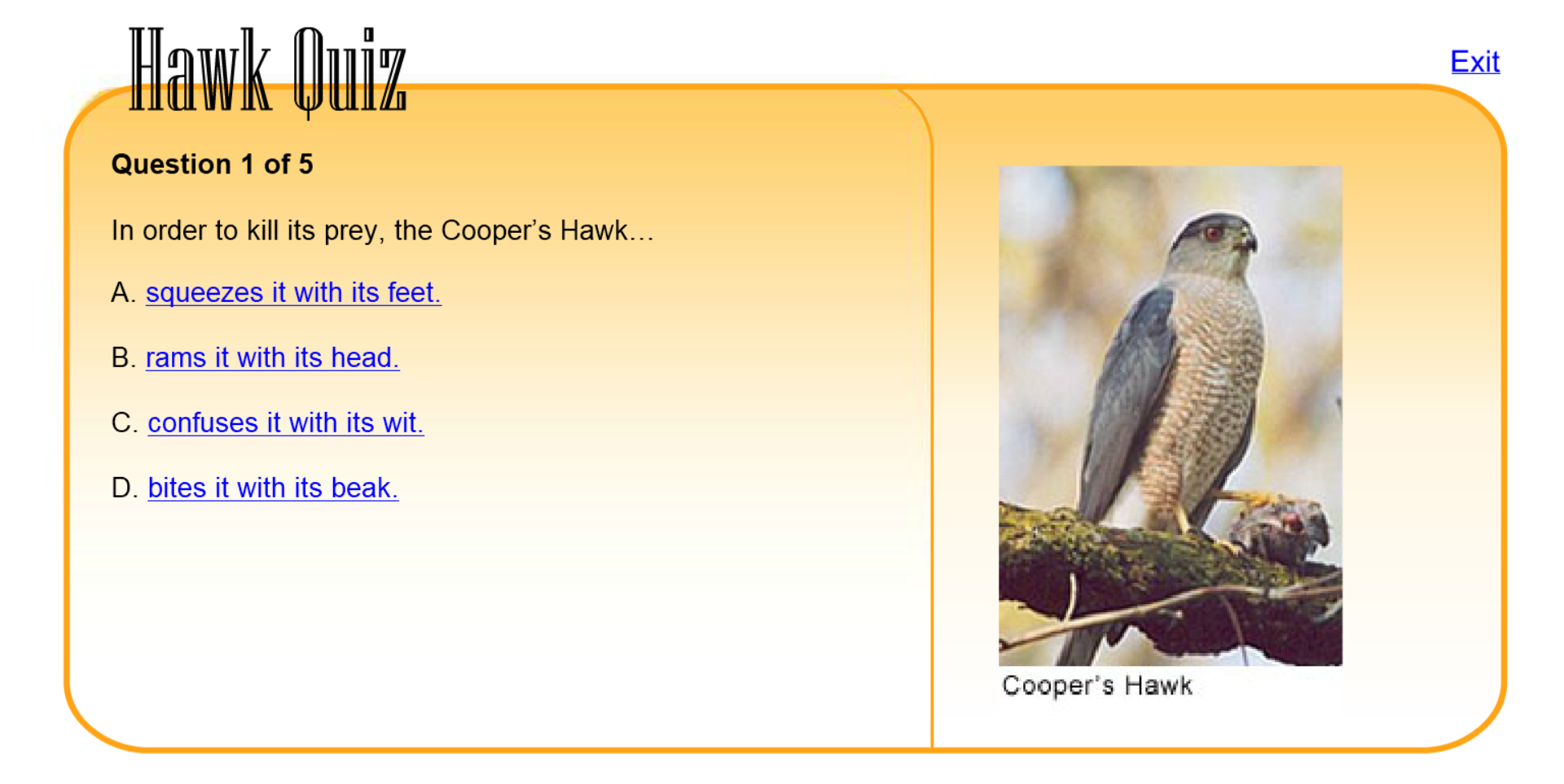 Hawk Quiz