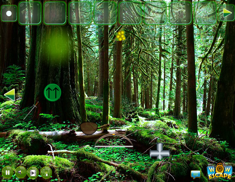 Hidden Forest Escape