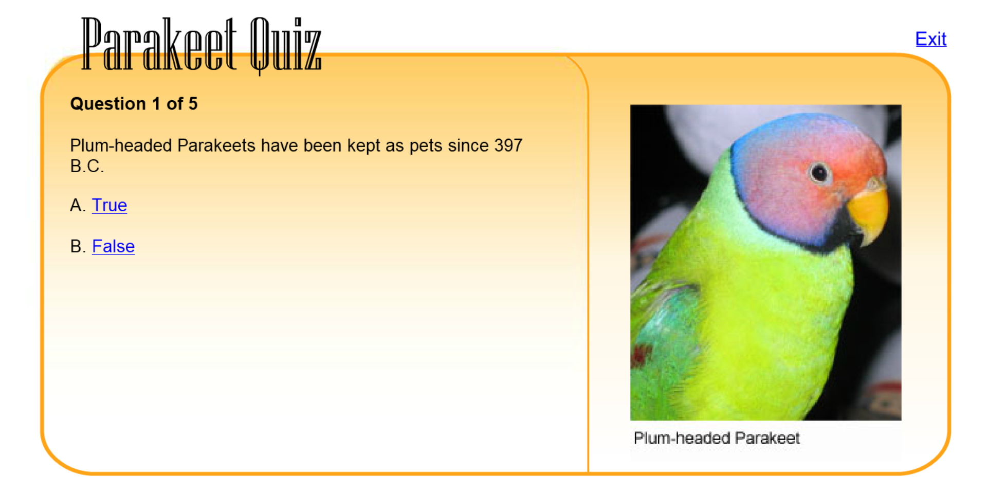 Parakeet Quiz