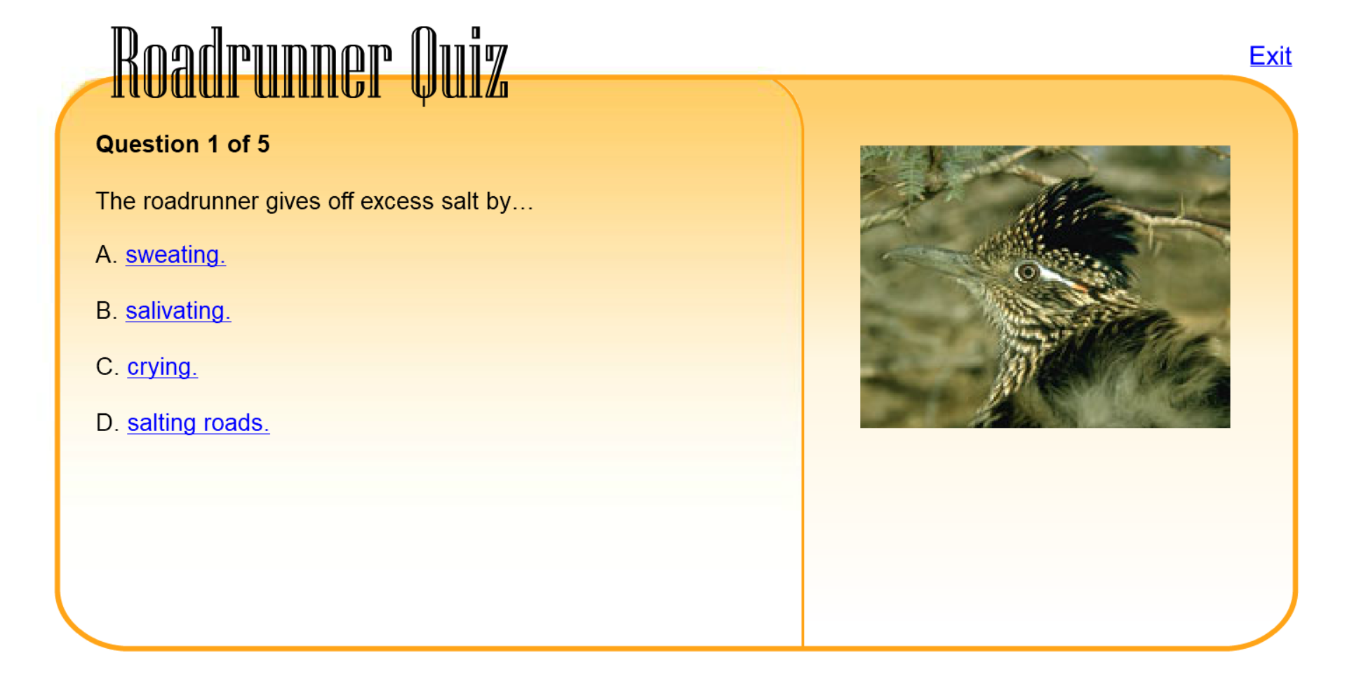 Roadrunner Quiz