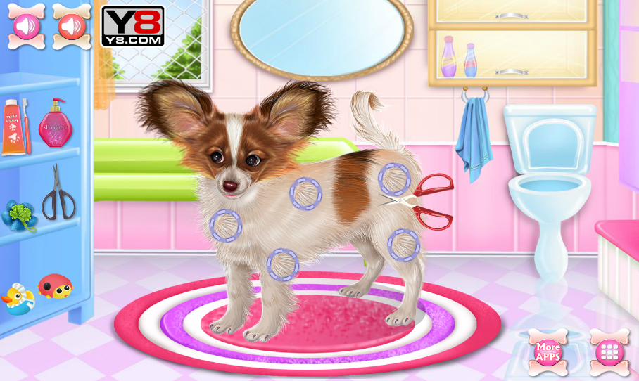 Papillon Puppy Care