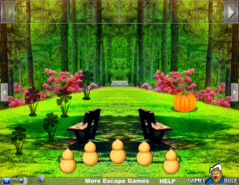 Find the Neelakurinji Flowers