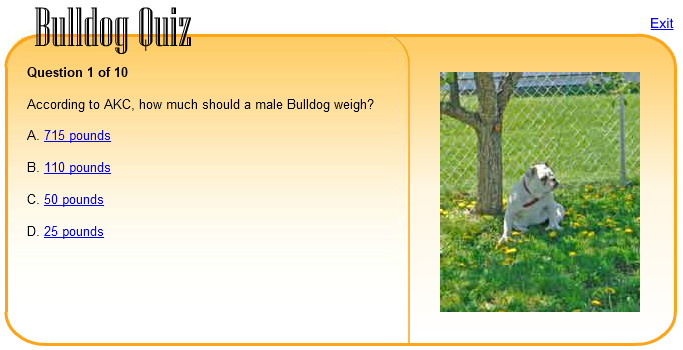 Bulldog Quiz
