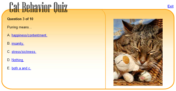 Cat Behavior Quiz