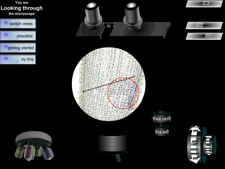 Virtual Microscope