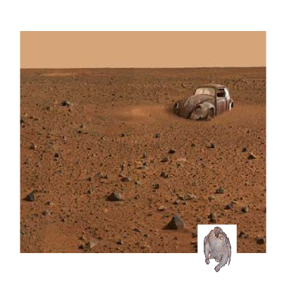 Turkey Waffle Asdf Time!!!