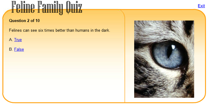 Feline Family Quiz