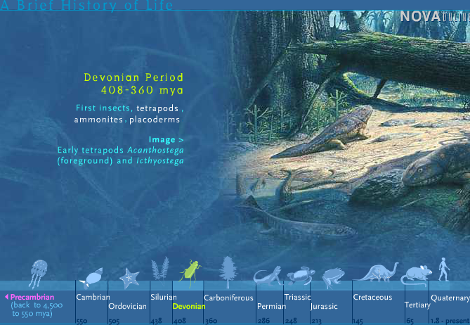 A Brief History of Life