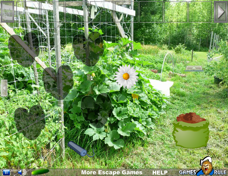 Zucchini Garden Escape