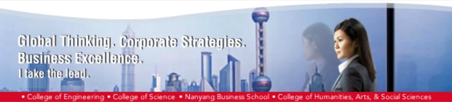 Nanyang Business School 2008 Banner