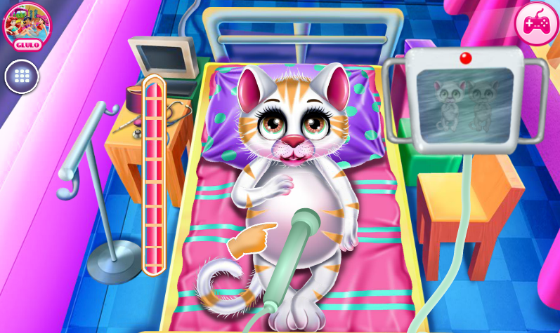 Kitties Newborn Caring