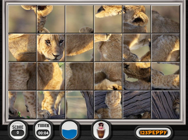 Swing And Set African Cats