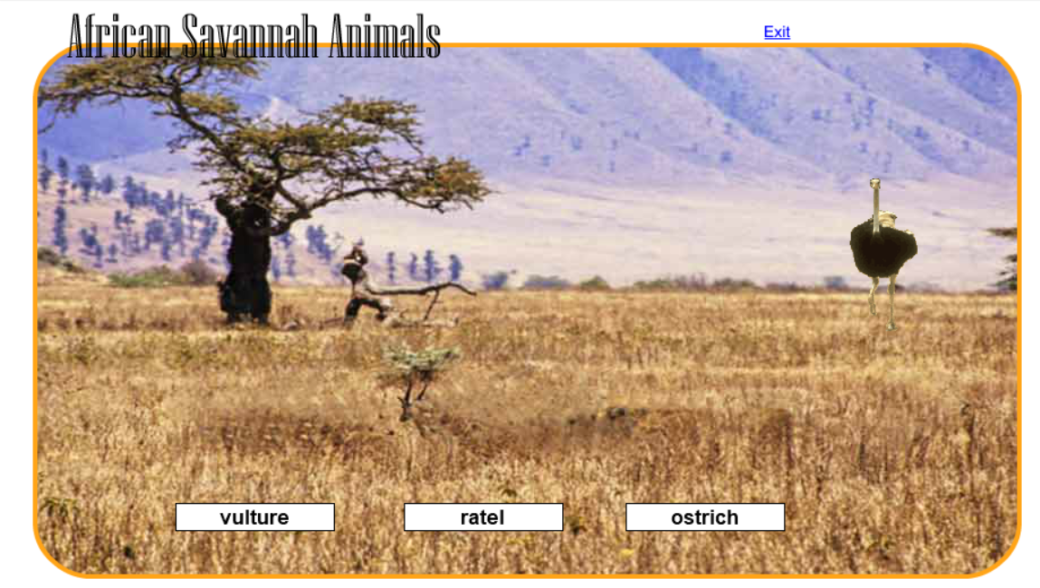 African Savannah Animals