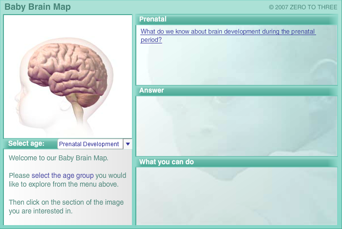 Baby Brain Map