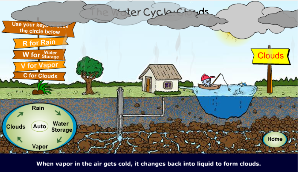 The Water Cycle