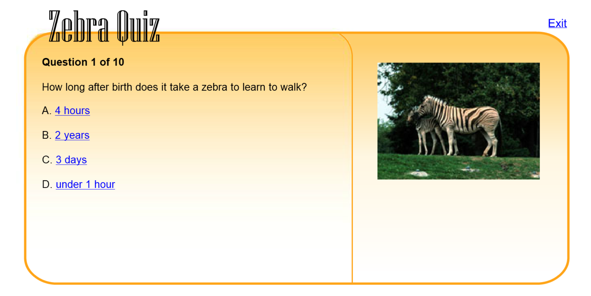 Zebra Quiz