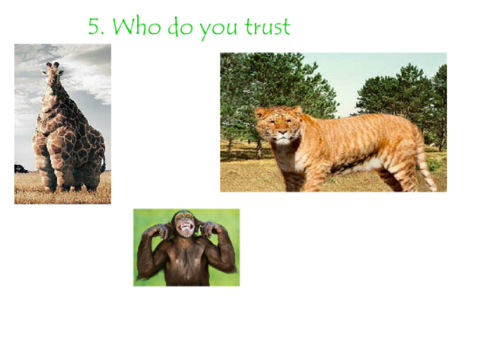 DA BESTEST QUIZ ON DA WHOLE NETERWEB