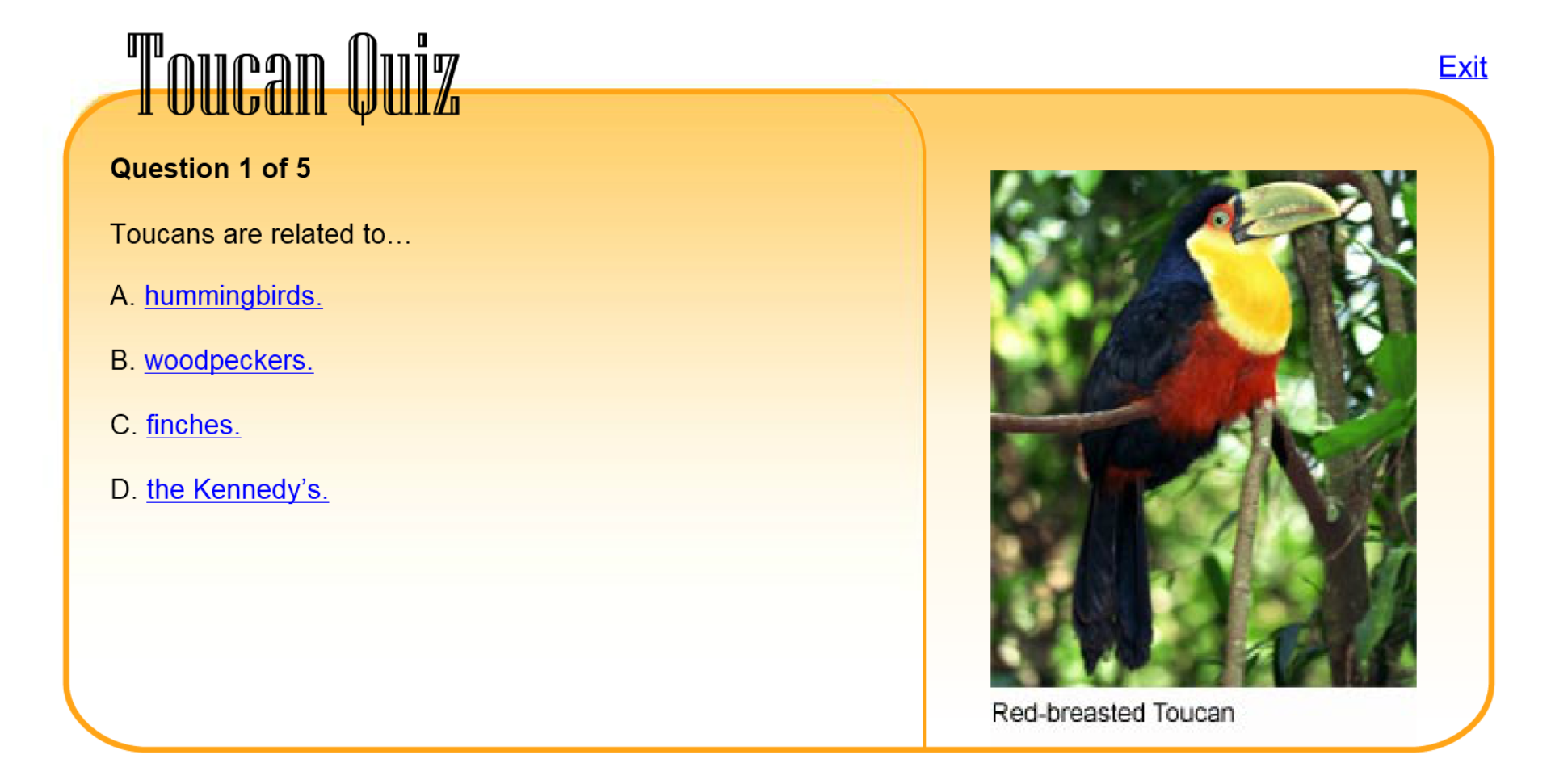 Toucan Quiz