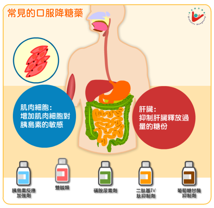 常見的口服降糖藥