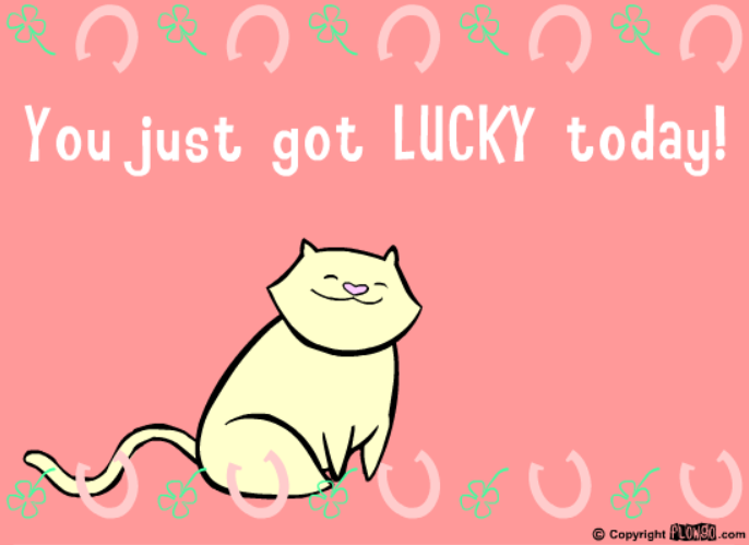 Lucky Friday 13th Kitten