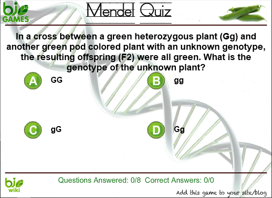 Mendel Quiz