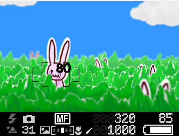 すすめ！カメラマン！