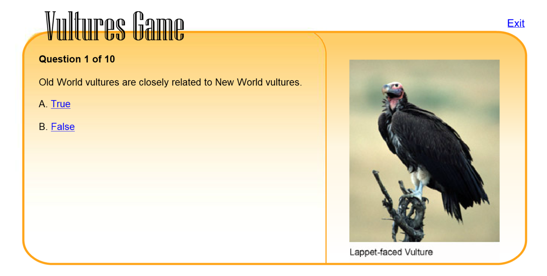 Vultures Game