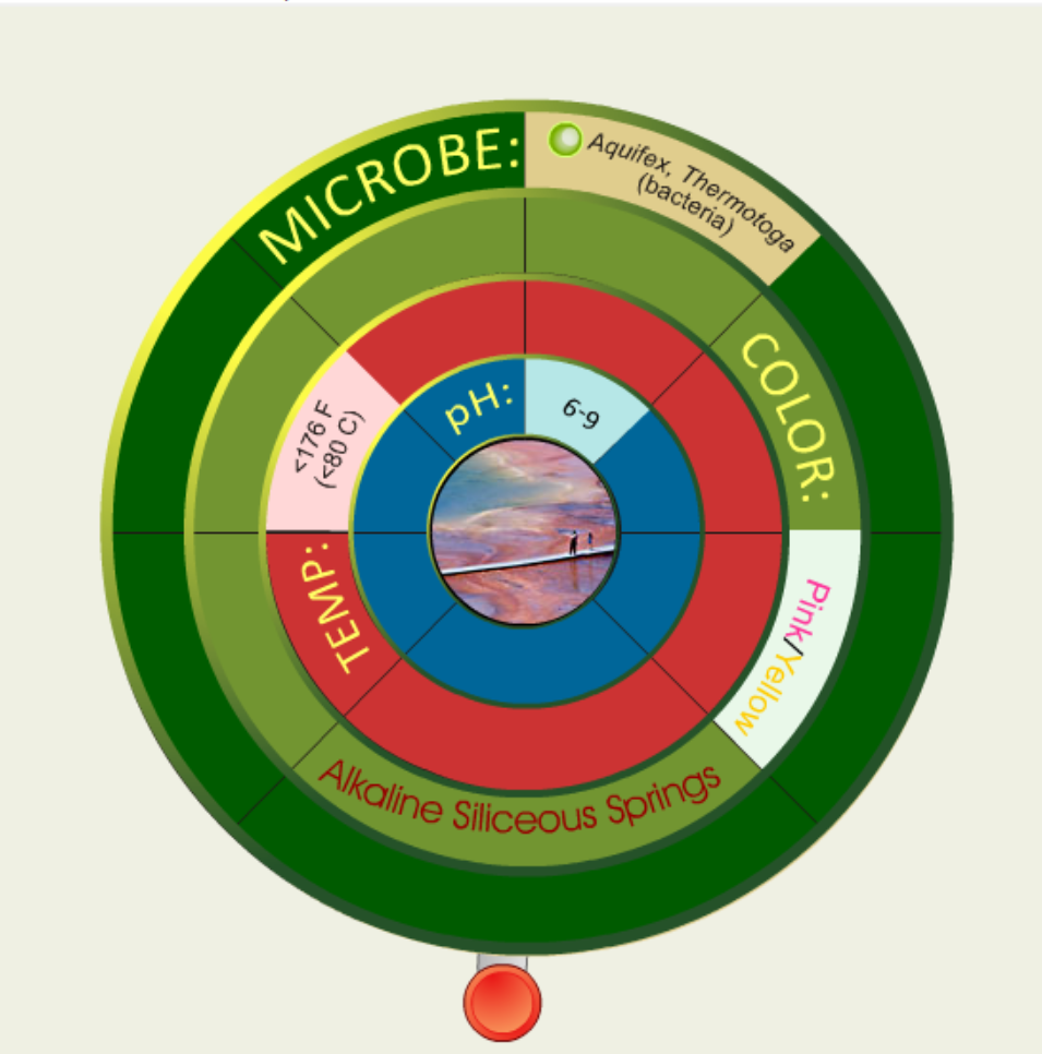 Wheel of Microbes -- Alkaline Springs