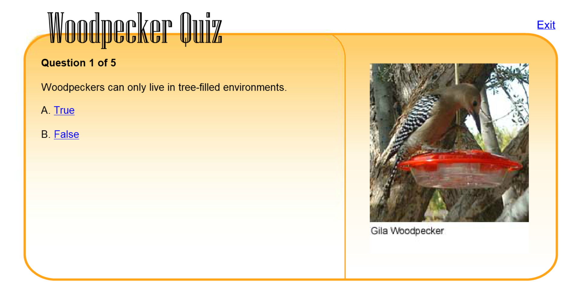 Woodpecker Quiz