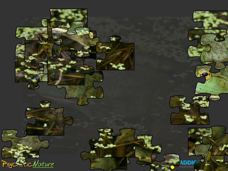 Bullfrog Jigsaw