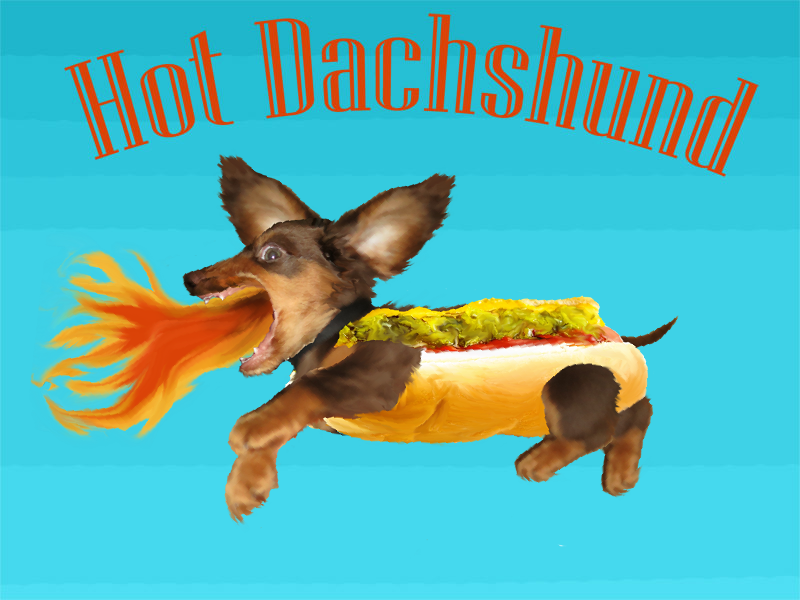 Hot Dachsund