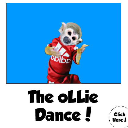 Ollie The Monkey Click-O-Rama