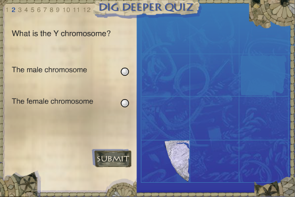 Dig Deeper Quiz